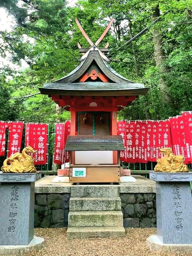 Deer & Serenity: A Stroll Through Nara Park