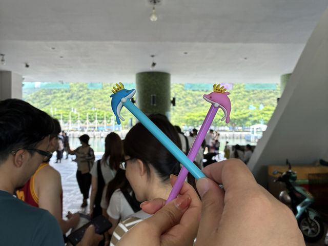 《《宜蘭賞鯨豚》牛奶湖與跳躍海豚的療癒片刻》