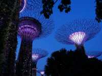 Gardens by the Bay.