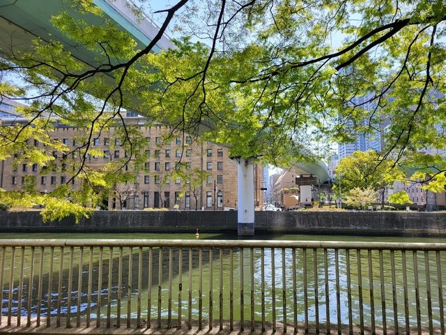 隱身大阪銀行街中的都市之肺/大阪中之島綠地公園