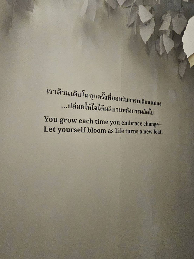 นิทรรศการ💫