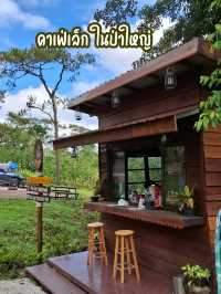 คาเฟ่เล็กในป่าใหญ่ 