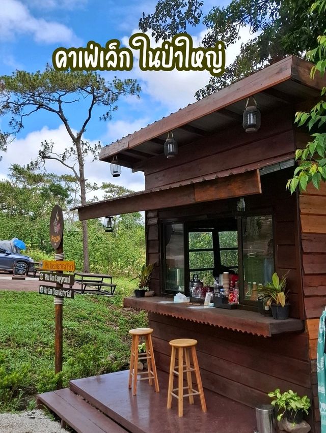คาเฟ่เล็กในป่าใหญ่ 