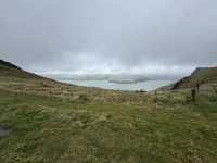 Stunning views of Lyttelton Harbour, the volcanic peaks and ridges of Banks Peninsula