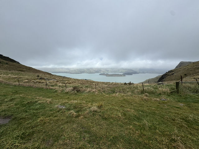Stunning views of Lyttelton Harbour, the volcanic peaks and ridges of Banks Peninsula