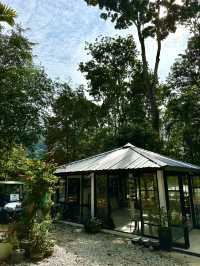Sip, Breathe, Escape: Mimpi Hutan Café in the Garden of Eve