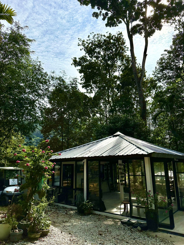 Sip, Breathe, Escape: Mimpi Hutan Café in the Garden of Eve