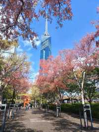 Fukuoka tower