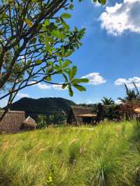 คาเฟ่ SHIRAKAWA-GO ที่สวนผึ้ง