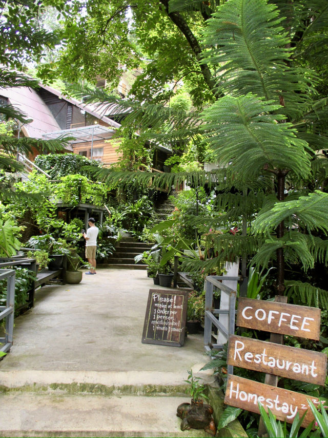 Proud คาเฟ่น่ารัก ณ แม่กำปอง ⛰️🌳🍃🌿☕️ Proud คาเฟ่น่ารัก ณ แม่กำปอง ⛰️🌳🍃🌿☕️