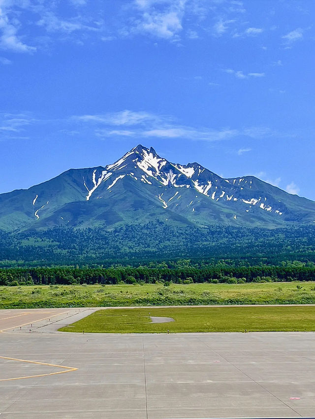 【北海道利尻島】北の最果て利尻山⛰️