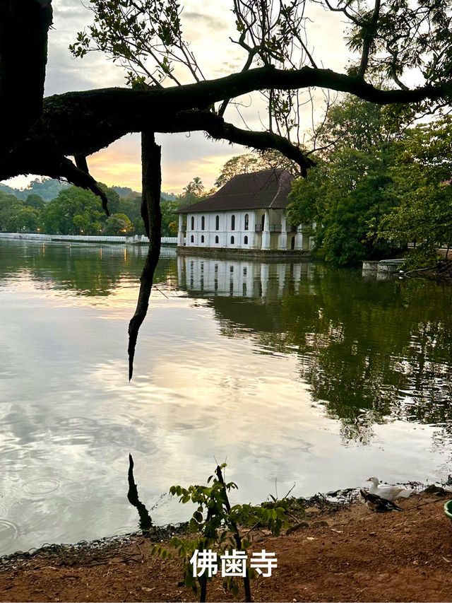 🇱🇰 スリランカ旅行記　VOL.1
