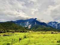 Sabah’s Little New Zealand: A Morning at Desa Cattle Dairy Farm