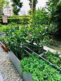 Green Escape in the City – Fullerton Farm & Outdoor Yard