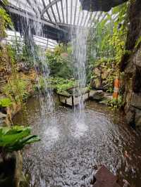 Wings of Wonder: Discover Entopia’s Living Paradise