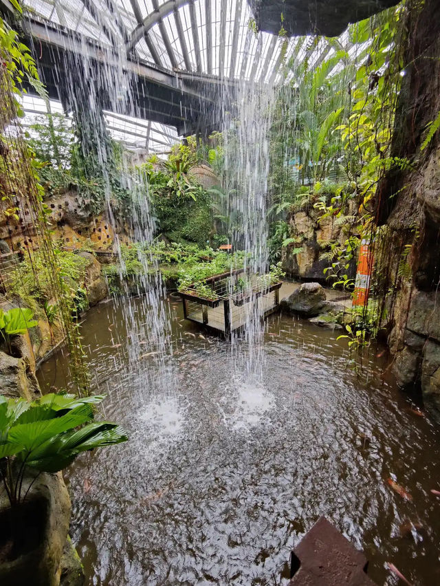 Wings of Wonder: Discover Entopia’s Living Paradise
