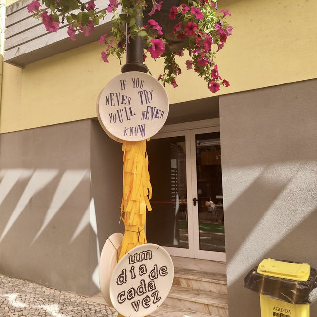  🌂 Canopy of Joy: Discovering Águeda's Umbrella Wonderland