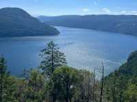Above the Trees: A Calm Walk at Malahat SkyWalk