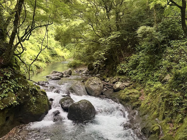 【宮崎】神々が集った洞窟🌌天安河原で心を整える神話旅