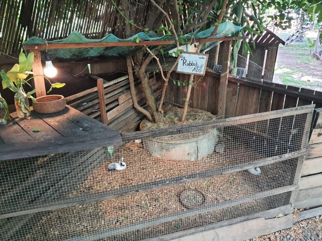 รวยริน ข้าวแฝ่โบราณ นนทบุรี