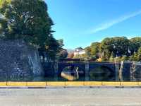 A Glimpse into the Heart of Tokyo – The Imperial Palace