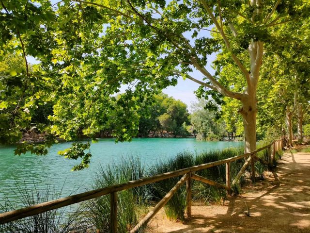 Lake Day Bliss at Albufera de Anna