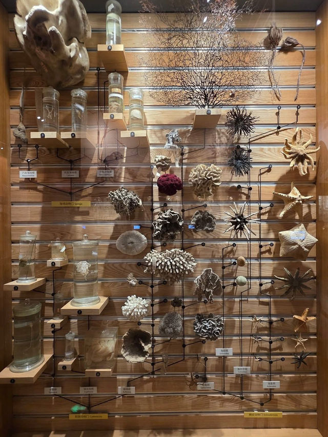 Shanghai Natural History Museum