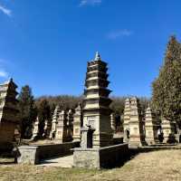 本場の少林寺を見たい人はぜひ！🇨🇳