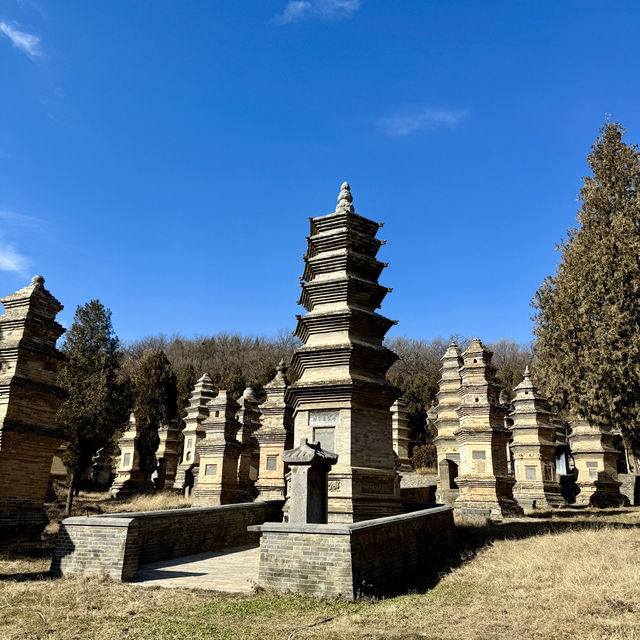 本場の少林寺を見たい人はぜひ！🇨🇳