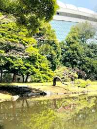 Koishikawa Korakuen Garden Tokyo