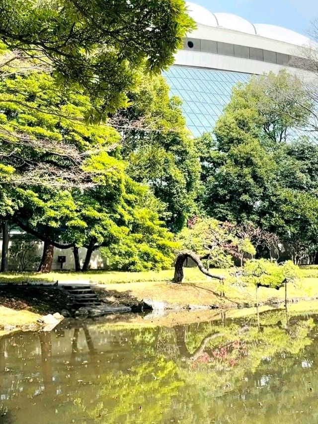 Koishikawa Korakuen Garden Tokyo