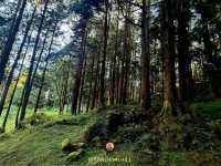 Alishan