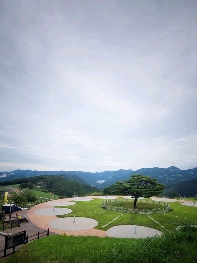 높은 해발고도 탁트인조망 💚정선타임캡슐공원