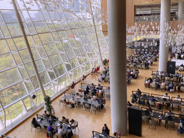 Shanghai Library East: A Hidden Gem for Book Lovers! 📚✨