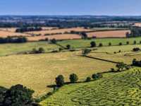 Good old fashioned family fun in the great outdoors, Fun for all ages and a good walk into the bargain