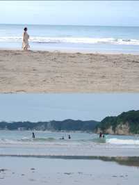 【千葉】 海岸にラクダ？ 絶景スポット