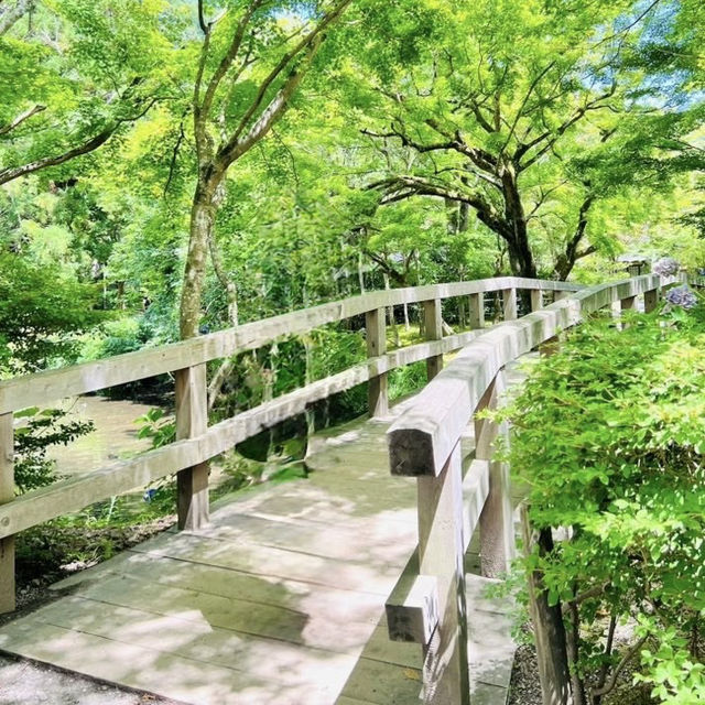 Magical Solo Escape: Yufuin Floral Village on a Budget** 🌸🏡