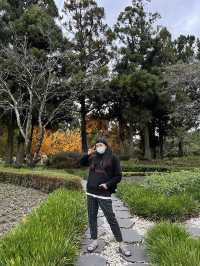 「小瑞士不在歐洲！南投清境這片花園美到像在童話裡🌸🏞️」