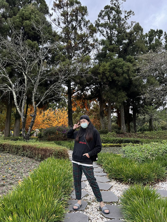 「小瑞士不在歐洲！南投清境這片花園美到像在童話裡🌸🏞️」