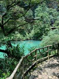 Step into the Sky: Exploring Zhangjiajie Grand Canyon