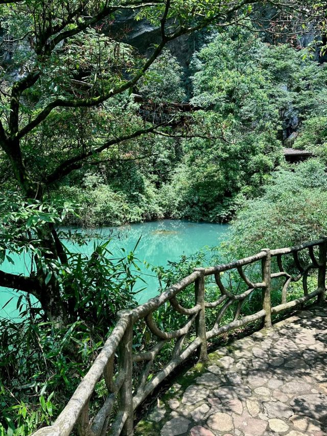 Step into the Sky: Exploring Zhangjiajie Grand Canyon