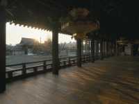 【西本願寺】荘厳な空間で心静まる🙏浄土真宗の聖地で歴史と向き合う旅
