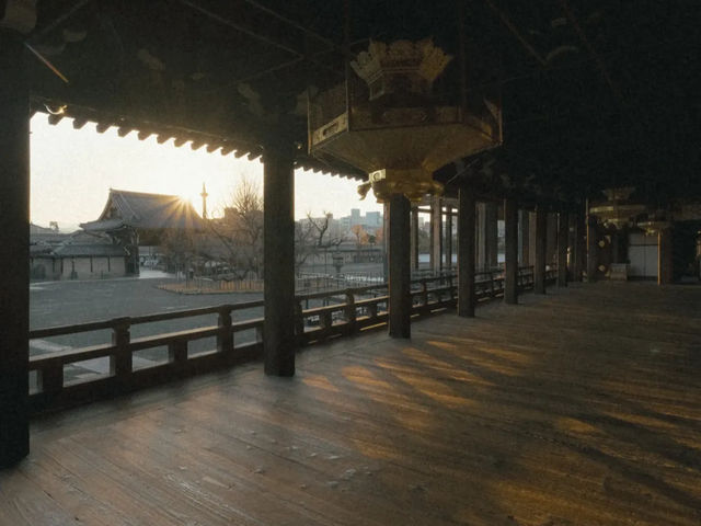 【西本願寺】荘厳な空間で心静まる🙏浄土真宗の聖地で歴史と向き合う旅