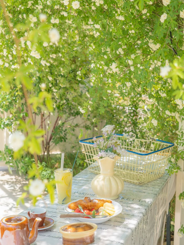 행복한 사장님이 가꾸시는 장미 정원 카페🌼💛