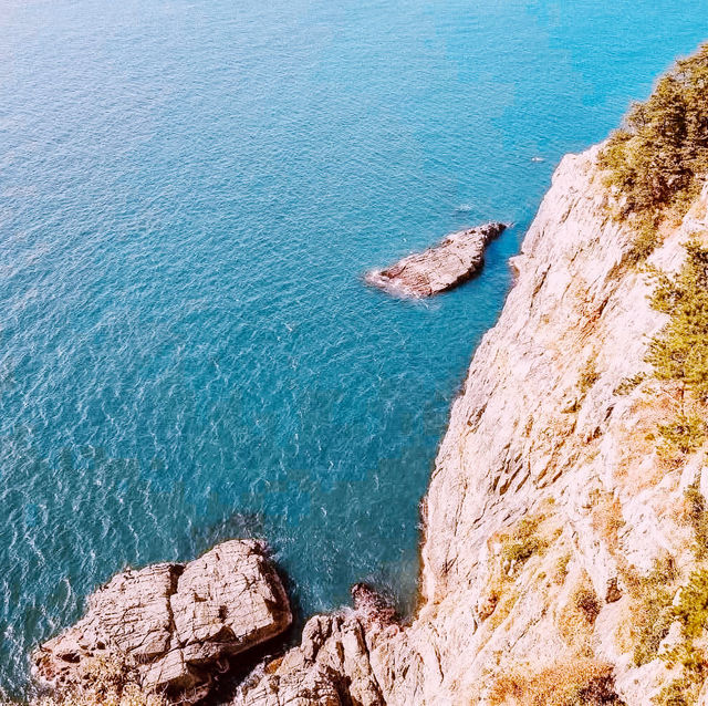 Taejongdae: Busan’s Wild Coastal Majesty – A Solo Traveler’s Cliffside Adventure"** 🌊🗻