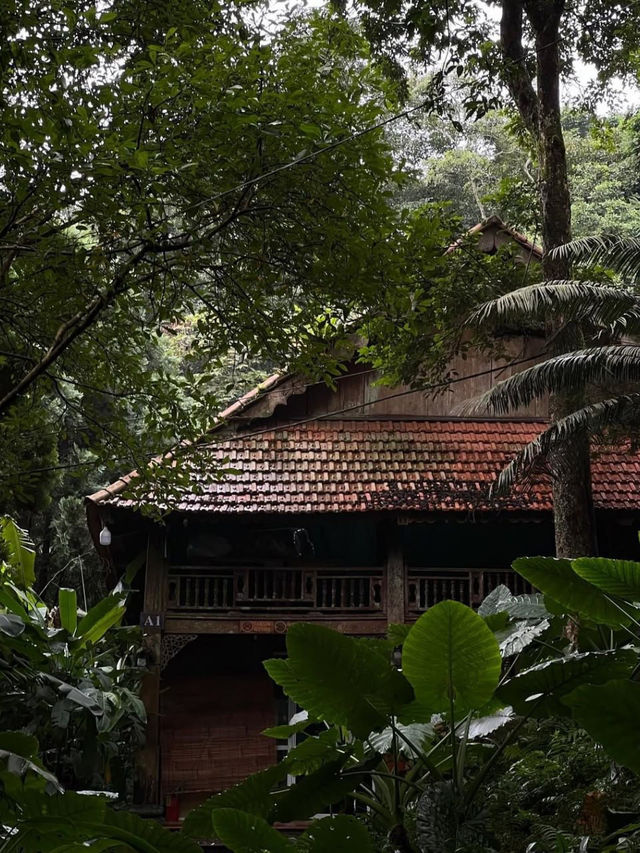 evokes serenity and timelessness