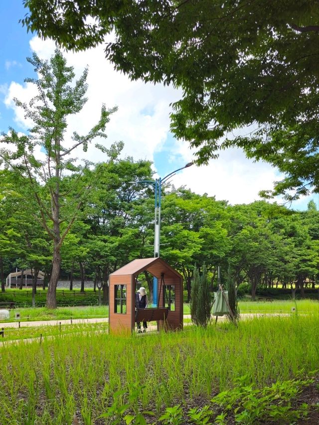 인천대공원 봄
