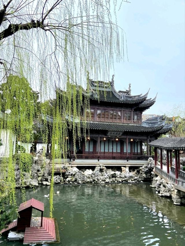 Timeless Calm: A Walk Through Yu Garden