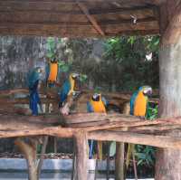 NIGHT SAFARI จ.เชียงใหม่