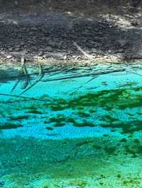 Five-Color Pond:Jiuzhaigou’s Liquid Kaleidoscope 